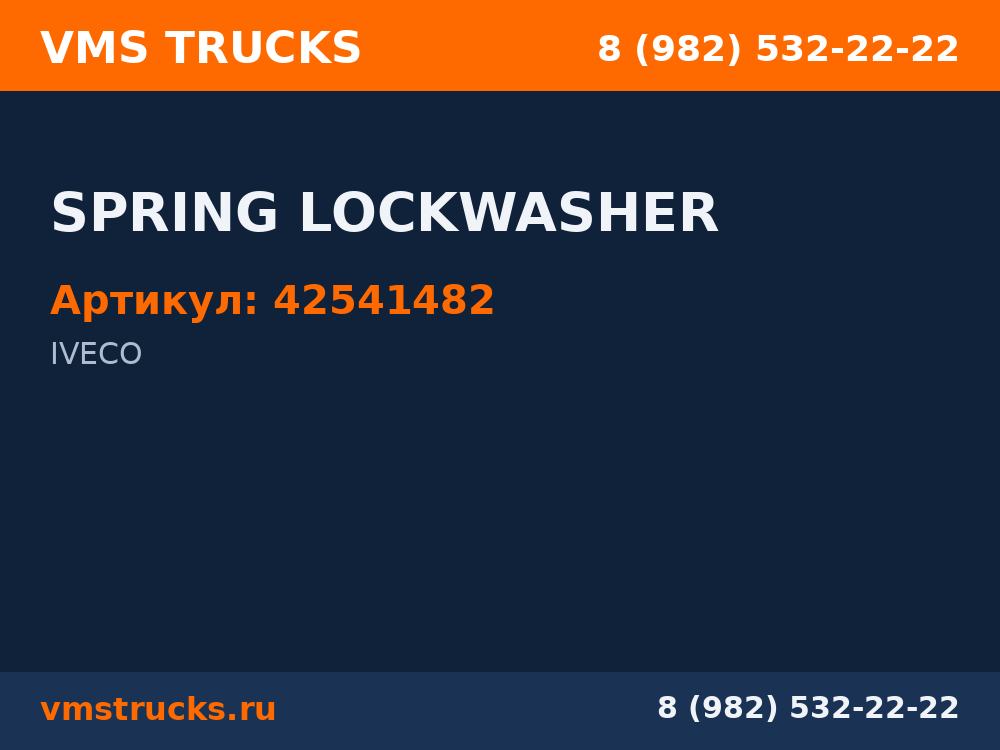 SPRING LOCKWASHER 42541482